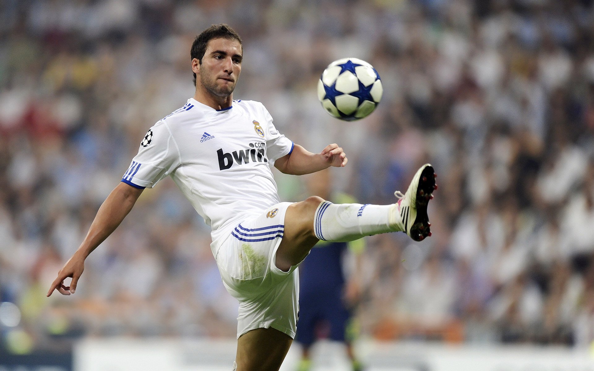 中超是否应限制经纪人参与青训阶段选拔，中超经理